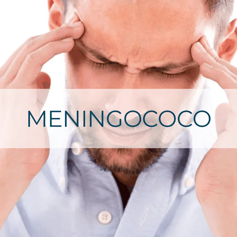 Vacuna Meningococo
